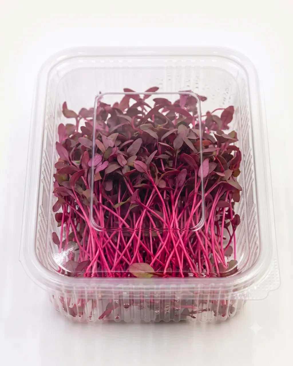Amaranth Red — 100g
