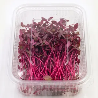 Amaranth Red