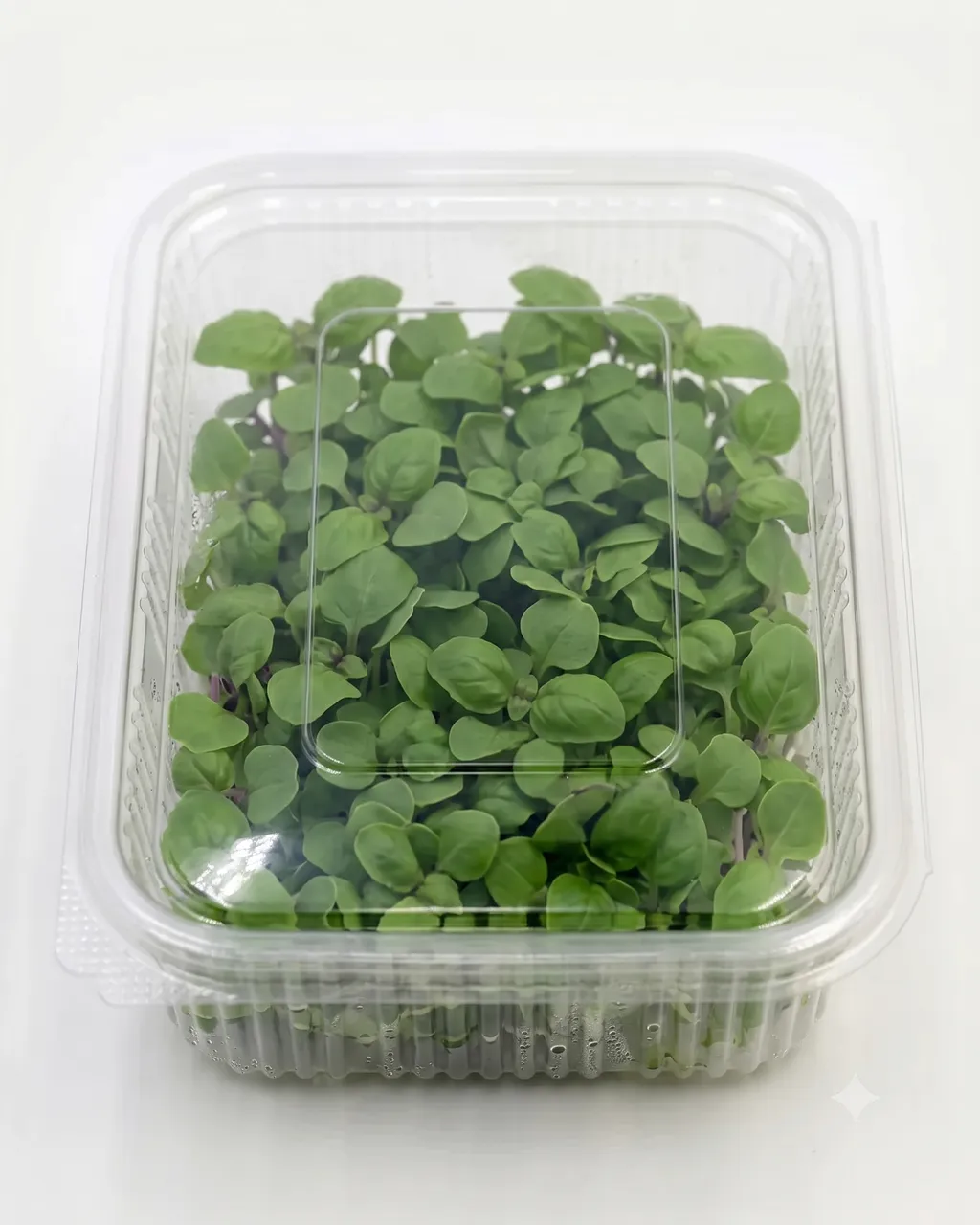 Basil Green — 100g