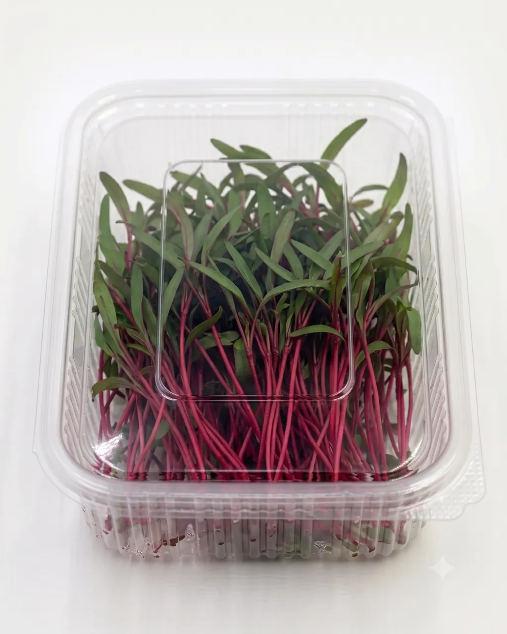 Beetroot Imported — 100g