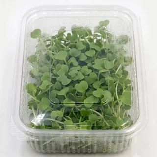 Pak Choi