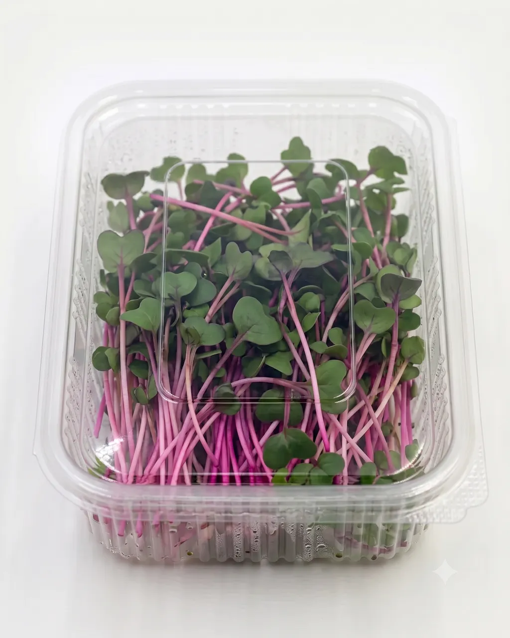Radish China Rose — Floating Oak Shelf