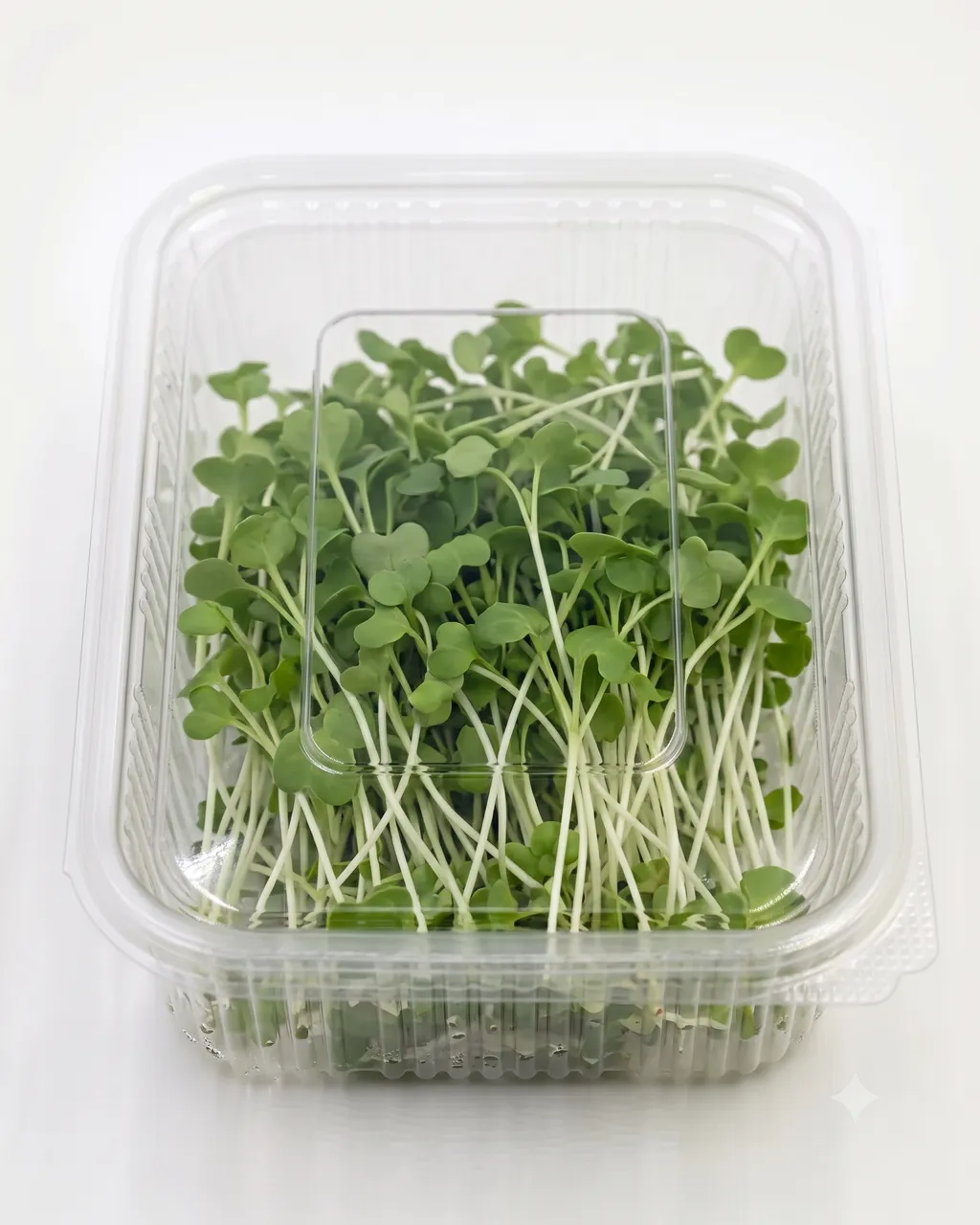Turnip — 100g
