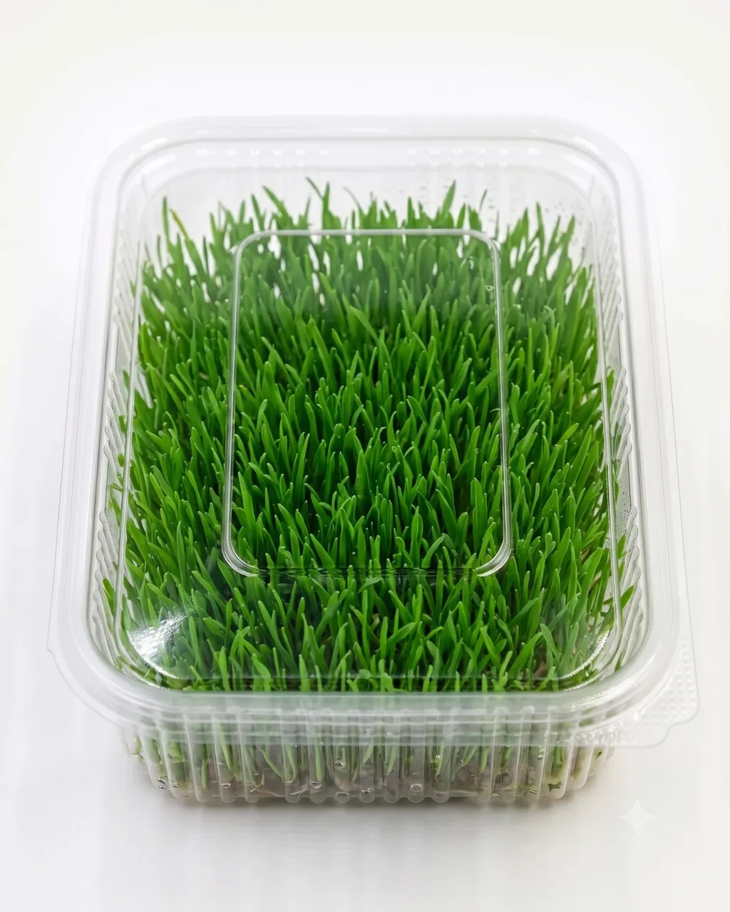 Wheatgrass — 100g